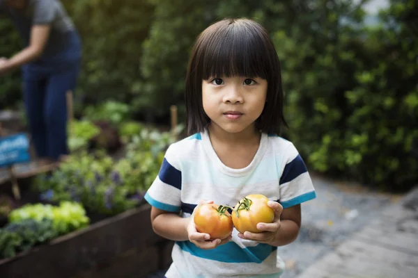 Çocuk holding domates — Stok fotoğraf