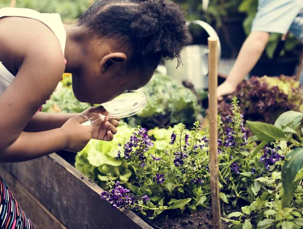 Kid lärande biologi i en trädgård — Stockfoto