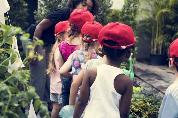 Маленькие студенты учатся ботаническому — стоковое фото