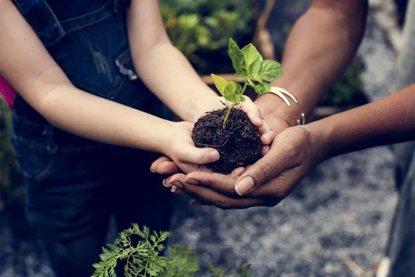 Bambino che va a piantare un albero — Foto Stock