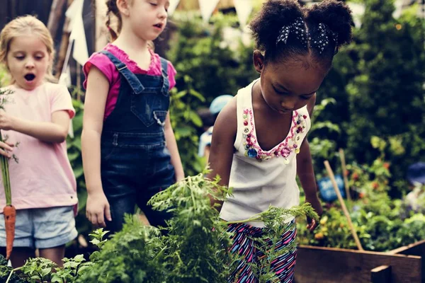 Bambini che lavorano in giardino — Foto Stock