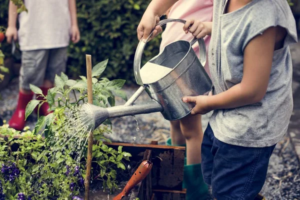 Niños regando las plantas —  Fotos de Stock