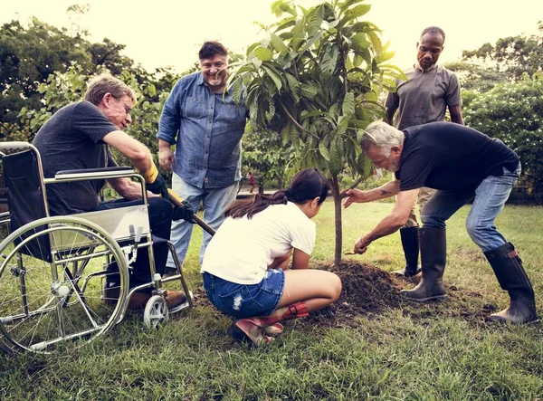 Pessoas Plantar a Unidade Árvore — Fotografia de Stock