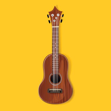 akustik gitar 