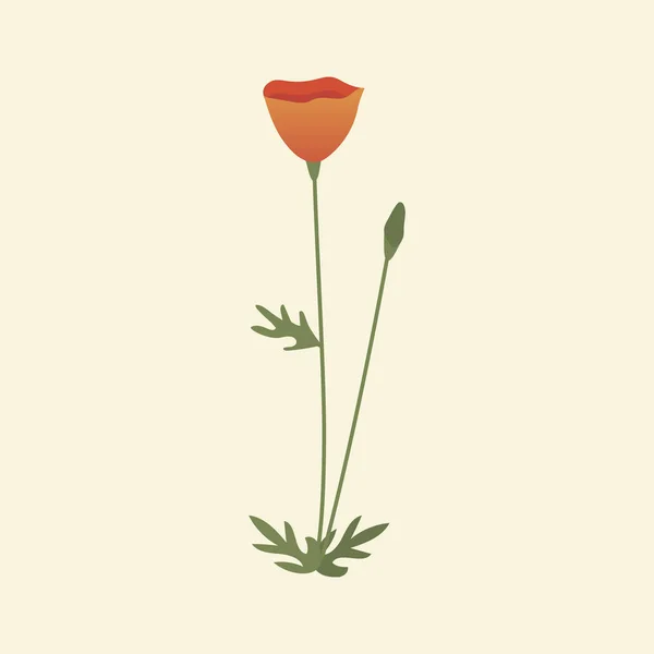 Vackra vilda röd blomma — Stock vektor