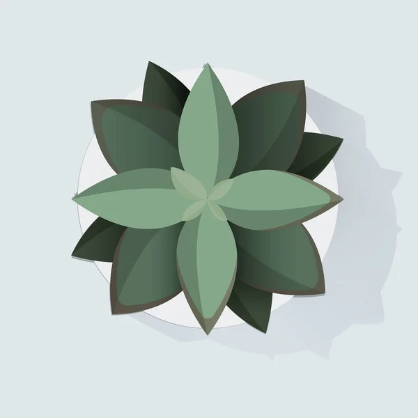 Grüne Zimmerpflanze im Topf — Stockvektor
