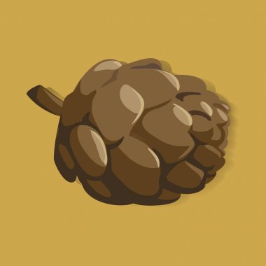 kahverengi çam kozalağı 