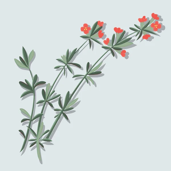 Mooie wilde rode bloemen — Stockvector