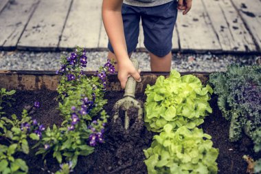 Bir bahçede çalışan çocuk
