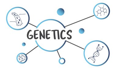 tasarım şablonu sayfa