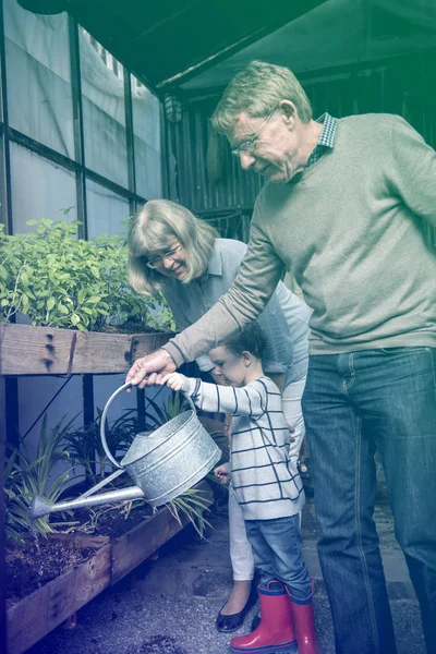 Kakek-nenek dan cucu menyiram tanaman — Stok Foto