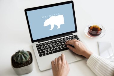 insan eli masada dizüstü bilgisayar kullanarak