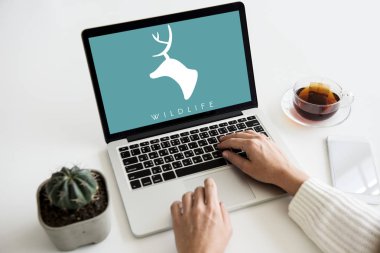 insan eli masada dizüstü bilgisayar kullanarak