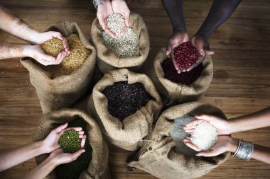 farklı tohum holding eller