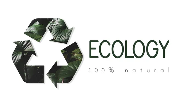 Recyklovat ekologické ikonu — Stock fotografie