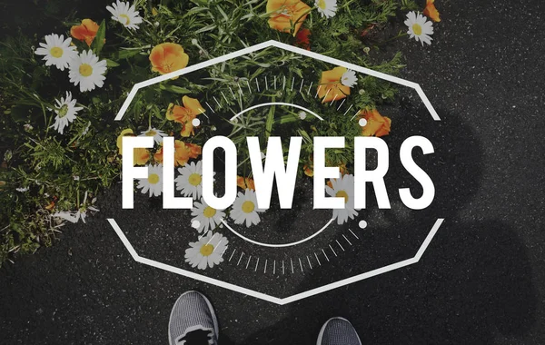 Personne pieds debout près des fleurs — Photo