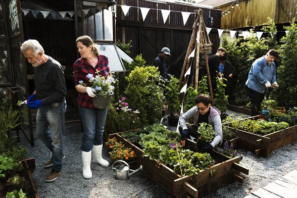 Gente jardinería en el patio trasero juntos — Foto de Stock