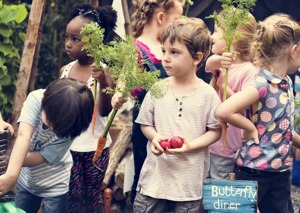 Entorno de aprendizaje para niños en Vegetable Farm — Foto de Stock