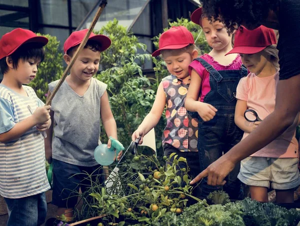 Kinder lernen Gartenarbeit im Freien — Stockfoto