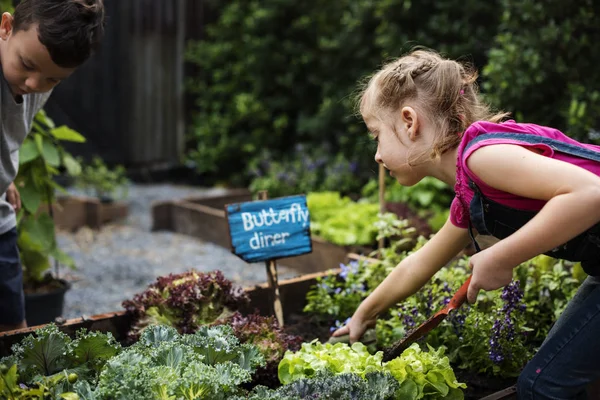 Flicka som inlärningsmiljö på vegetabiliska gård — Stockfoto