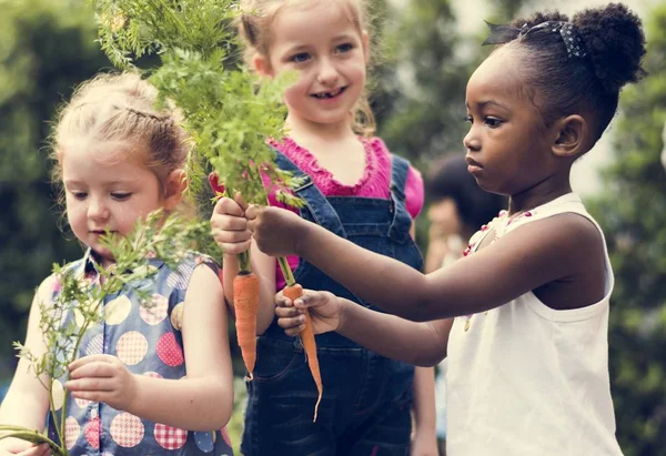 Niños sosteniendo verduras — Foto de Stock