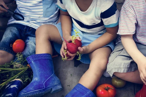 Niños sosteniendo verduras — Foto de Stock