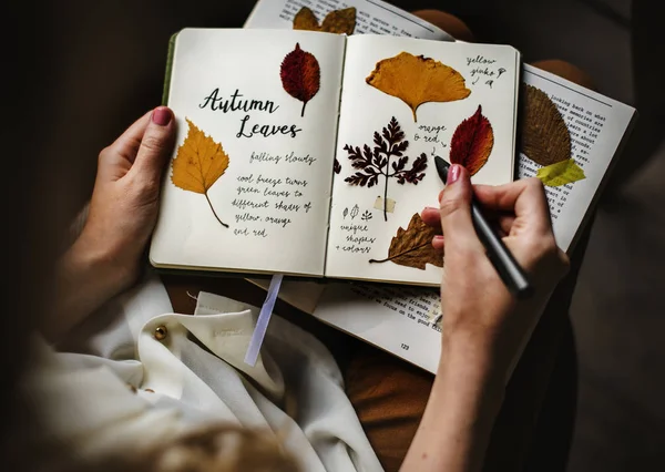 Woman holding dried leaves collection — Stock Photo, Image