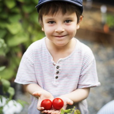 Çocuk hoding domates