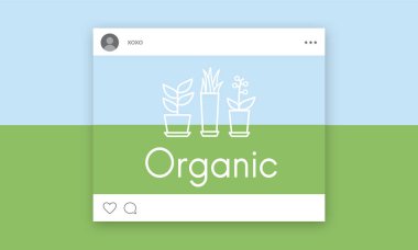 tasarım şablonu sayfa