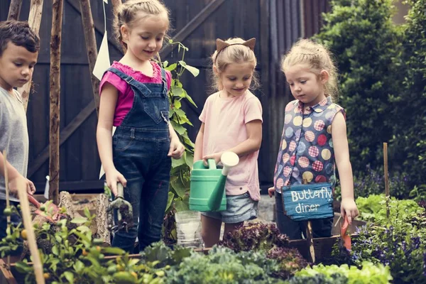 子供たちは庭での作業 — ストック写真