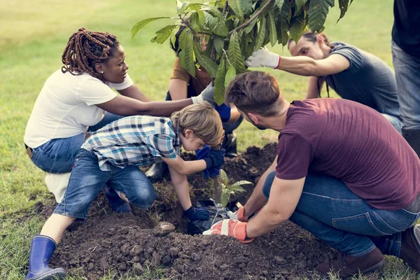 La gente pianta un albero — Foto Stock