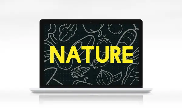 Web design șablon laptop — Fotografie, imagine de stoc