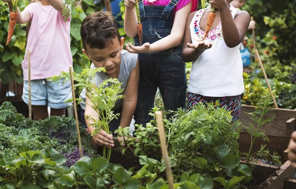 Children working in the garden — Stock Photo, Image