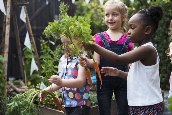 Niños sosteniendo verduras — Foto de Stock