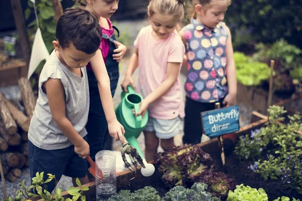 Anak-anak belajar berkebun di luar — Stok Foto