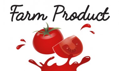 tasarım şablonu sayfa