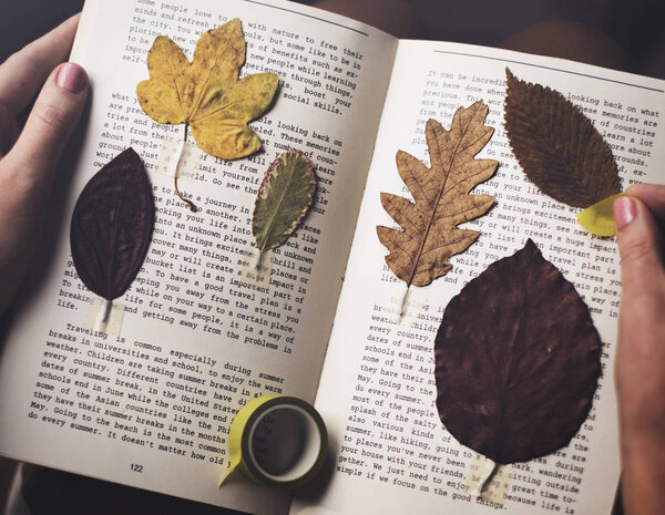 Cropped picture of woman holding book with dried leaves collection, original photoset