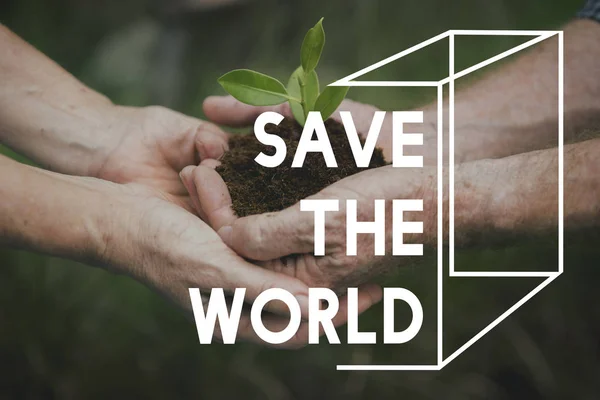 Hands with green plant in soil — Stock Photo, Image