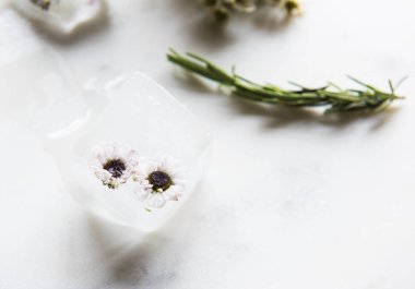 Çiçek yaprağı masada dondu, orijinal photoset