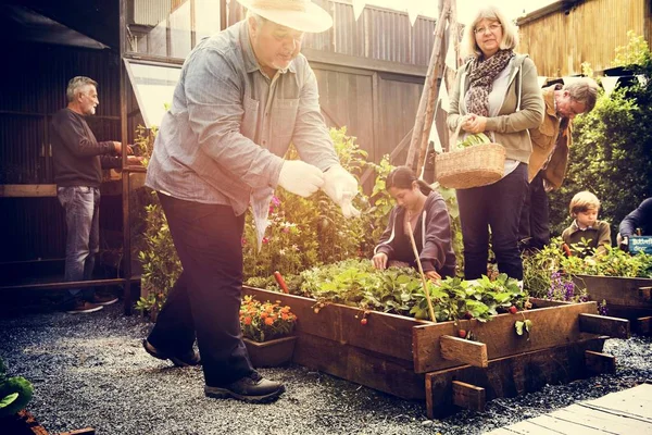 Pessoas plantando legumes — Fotografia de Stock