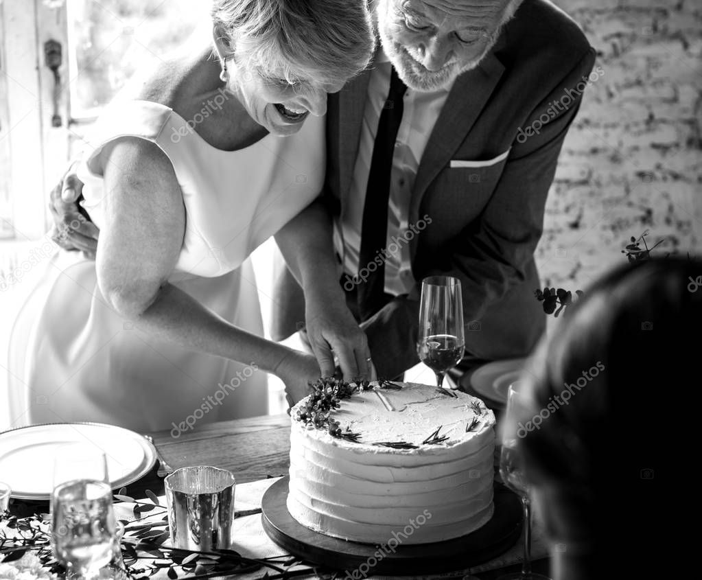 Newlywed Couple Cutting Cake