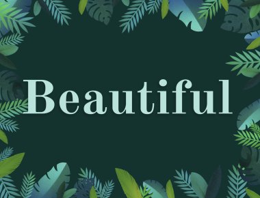 güzel çiçek çiçekler