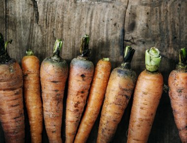 yıkanmamış çiğ havuç  