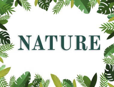 güzel çiçek çiçekler