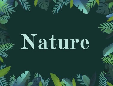 güzel çiçek çiçekler