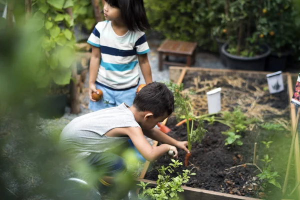 Barn Trädgårdsskötsel utomhus — Stockfoto