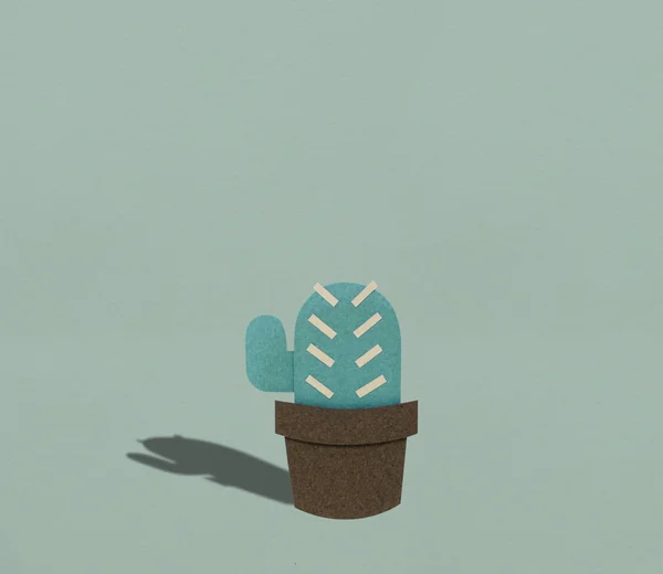 Кімнатна рослина кактус в горщику — стокове фото