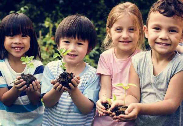 Crianças segurando plantas nas mãos — Fotografia de Stock