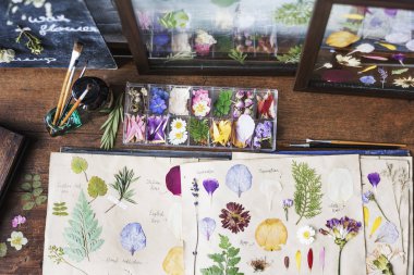 Kuru çiçek ve yaprak toplama