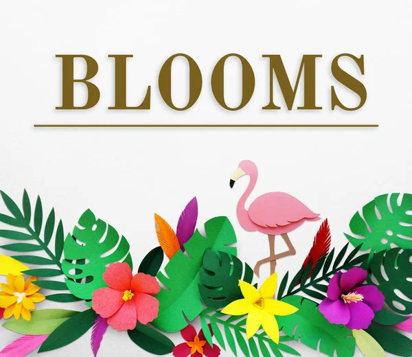 Mooie bloesem bloemen — Stockfoto